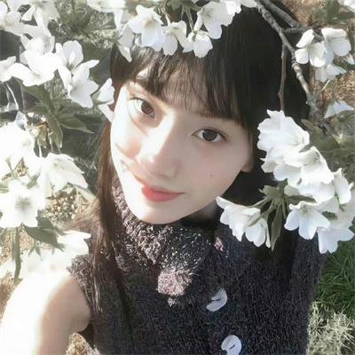 风起陇西
